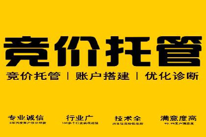 某品牌SEM运营托管的ROI提升之路